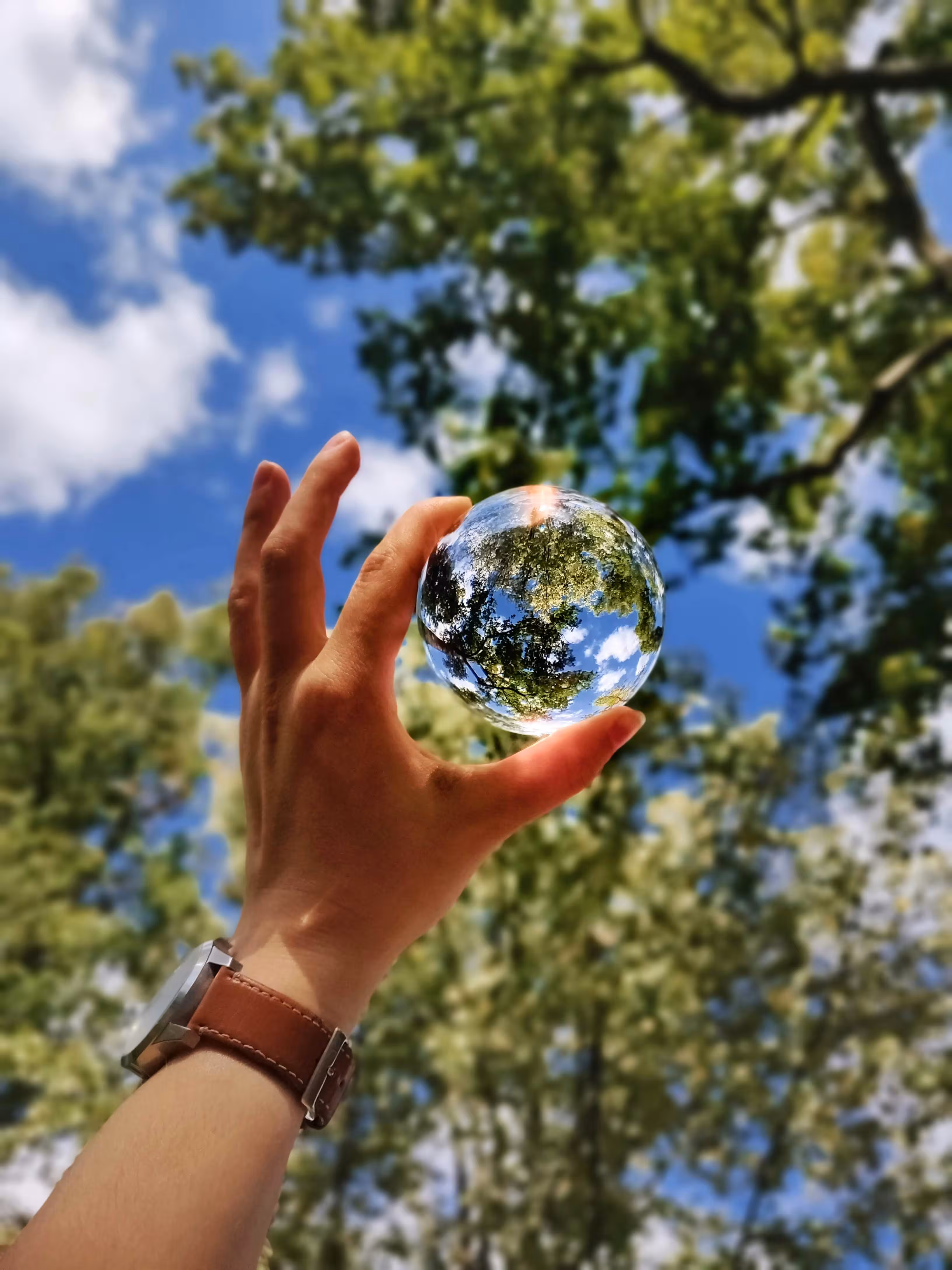 Retire 4 carbon credits to reach Impact+ level